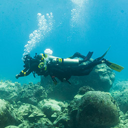 Online - Enriched Air Diver